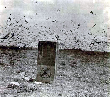 Hoang sa